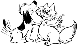 North Bay Humane Society